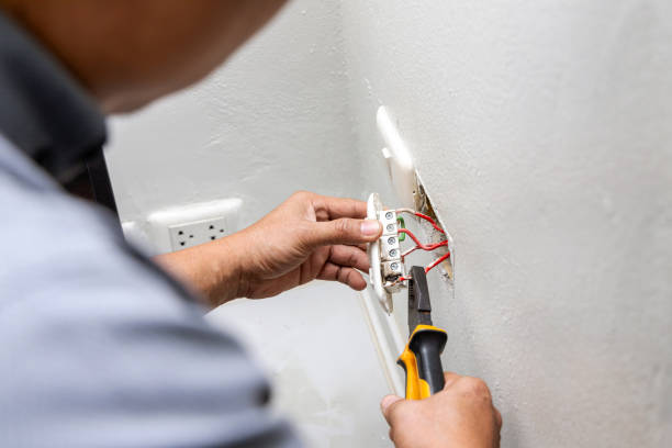 Best Ceiling Fan Installation Electrician  in Crested Butte, CO